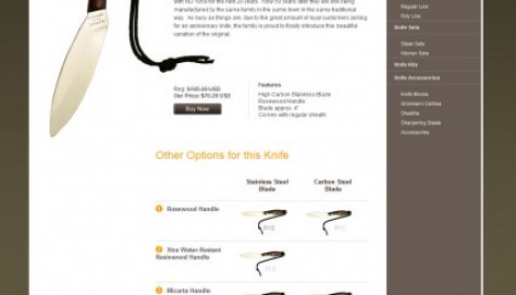 Specialized/custom product pages for best sellers
