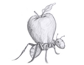ant apple sidebar