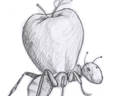 ant apple small2