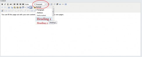 picture of the format dropdown in SilverStripe
