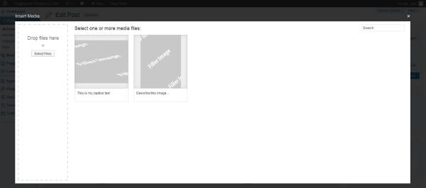 wordpressinsertmedia35